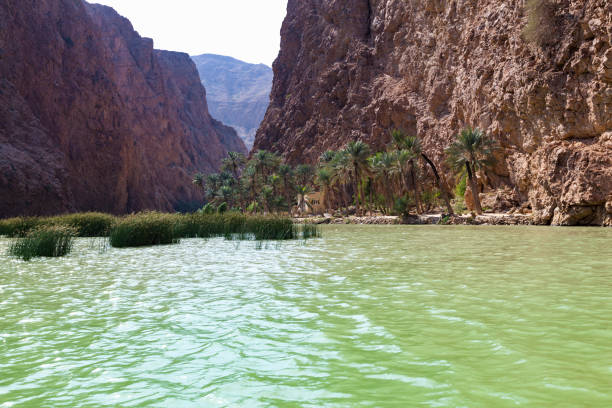 istock wadi shab enters the ocean, oman 873590686