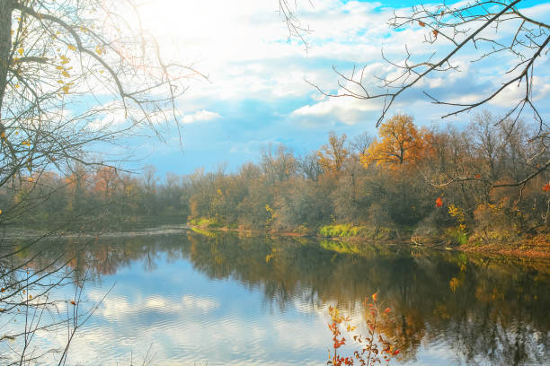 istock Forest lake in autumn forest 873597466