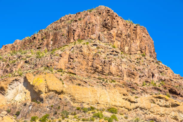 organ pipe cactus national monument en désert du arizona de sonora - une crête abrupte dans la montagne d’ajo gamme brille sous le soleil sous un ciel bleu éclatant - organ mountain range photos et images de collection