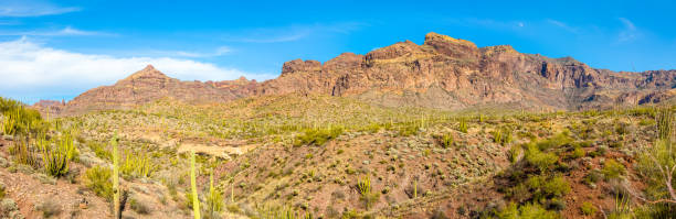 organ pipe cactus national monument en désert du arizona de sonora - vaste désert aride avec la gamme de montagne d’ajo par temps clair - organ mountain range photos et images de collection