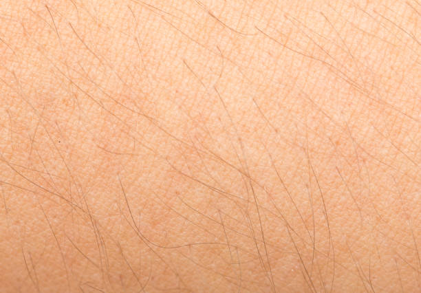 istock background of human skin 873600816