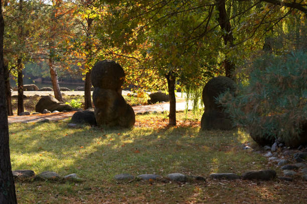 istock Ancient arboretum on the northwest Caucasus 873601174