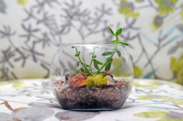 istock Terrarium on trendy flower and leaf pattern chair 873601564