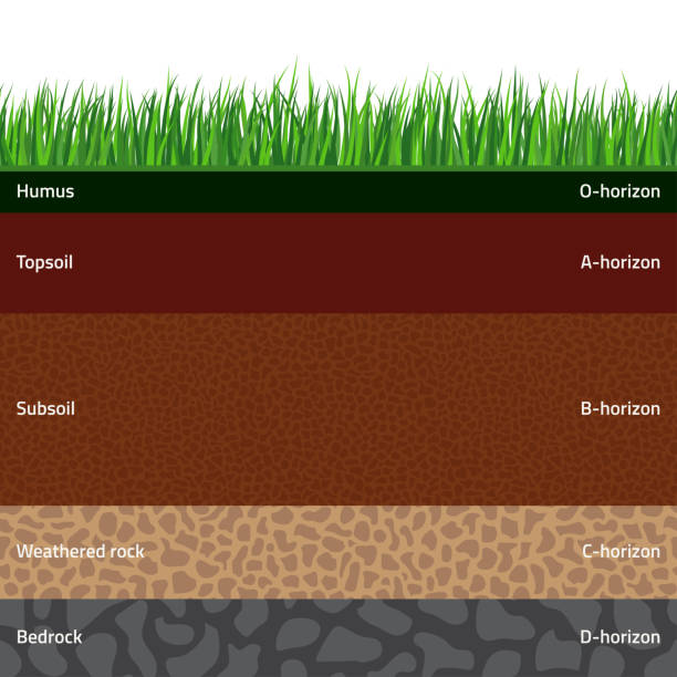 Seamless soil layers Seamless named soil layers with green grass on top. The stratum of organic, minerals, sand, clay, silt, parent rock and unweathered parent material. bedrock stock illustrations