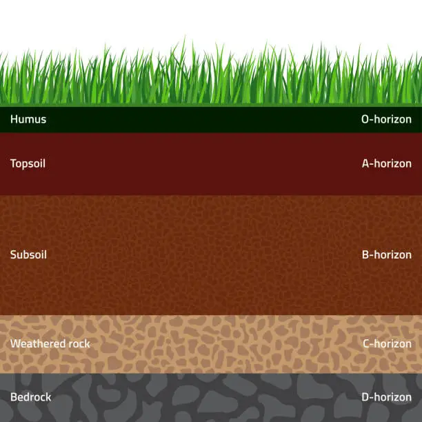 Vector illustration of Seamless soil layers
