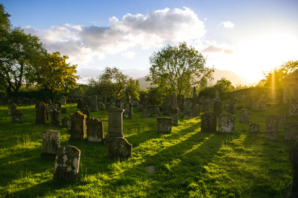 istock Cemetery at sunset with warm rays of light streaming through the graves and grass 873607970