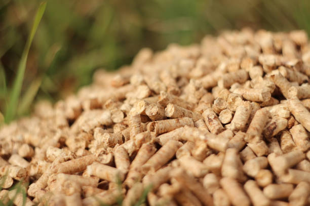istock Bunch of pellets 873615380