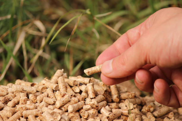istock Bunch of pellets 873619400