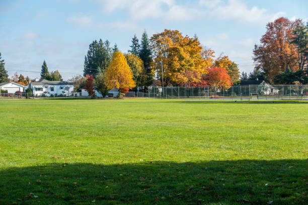 istock Autumn In The Neighborhood 873620202