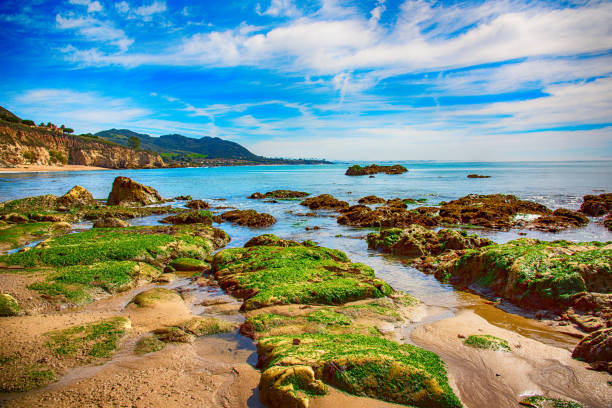 The moss covered rocks along a central California beach just north of Pismo Beach.