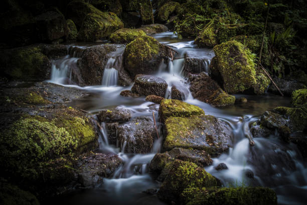 istock Waterfall in the Lumsdale Valley, Matlock, Derbyshire, Peak District, England 873624240