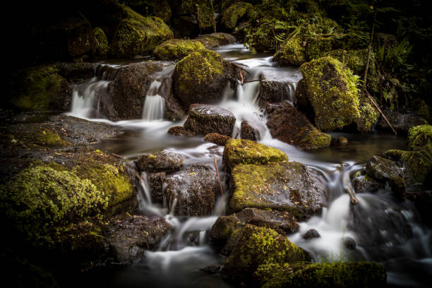 istock Waterfall in the Lumsdale Valley, Matlock, Derbyshire, Peak District, England 873624294