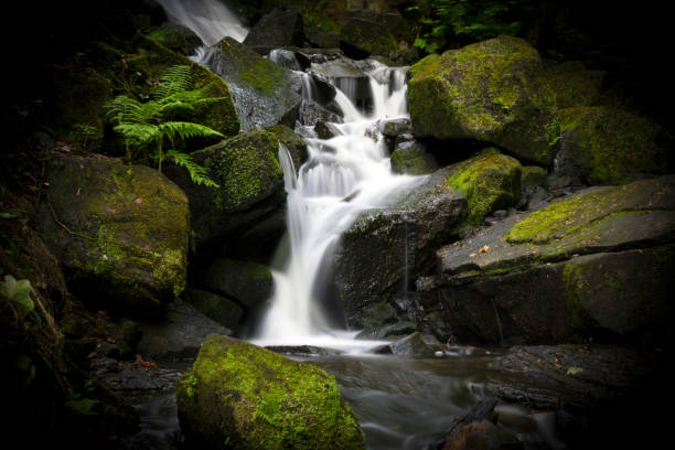 istock Waterfall in the Lumsdale Valley, Matlock, Derbyshire, Peak District, England 873624368
