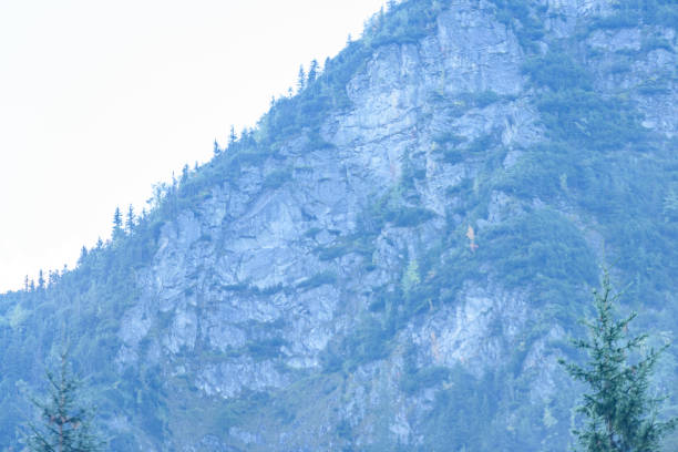 western carpathian mountain tops in  autumn covered in mist or clouds