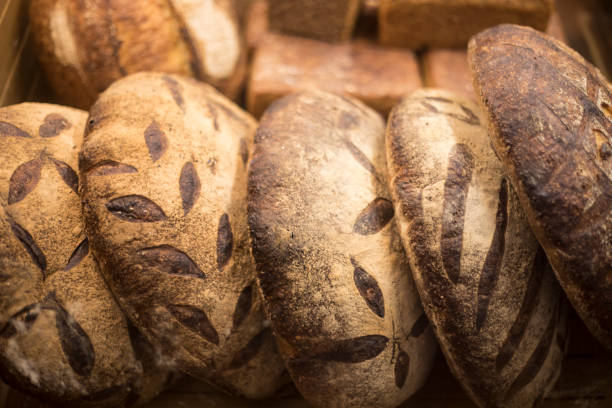 Selection of freshly baked bread loaf