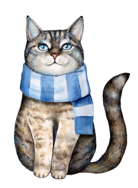 illustrazioni stock, clip art, cartoni animati e icone di tendenza di simpatico gattino tabby grigio vestito con sciarpa a maglia a righe tessili blu, seduto e alzando lo guardando, sorridendo con piacere e sognando. - heat beautiful joy happiness