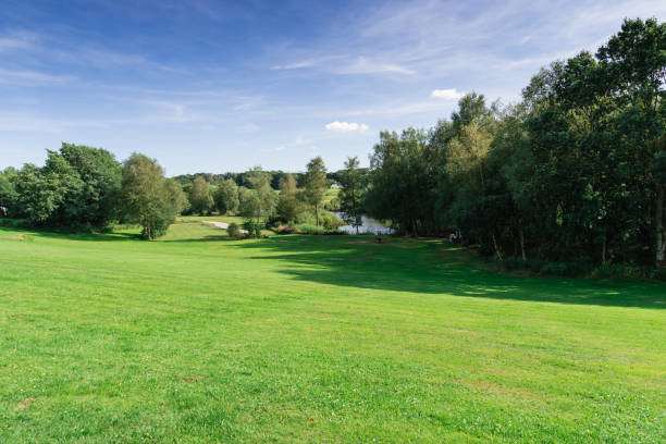 landscape in Denmark with a lake near Billund landscape in Denmark with a lake near Billund. billund stock pictures, royalty-free photos & images