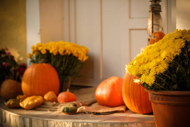 porta colorida - pumpkin autumn october squash - fotografias e filmes do acervo