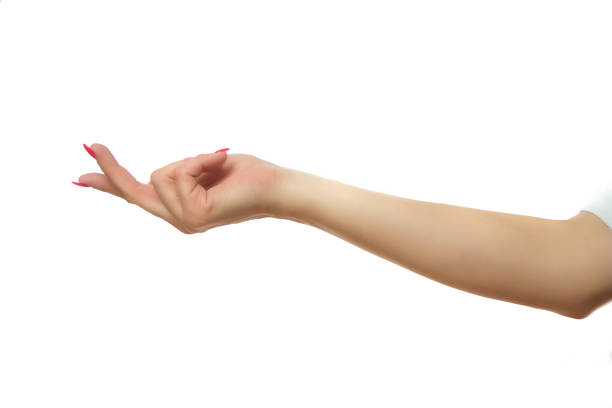 istock Woman hands isolated on white background. 873646362