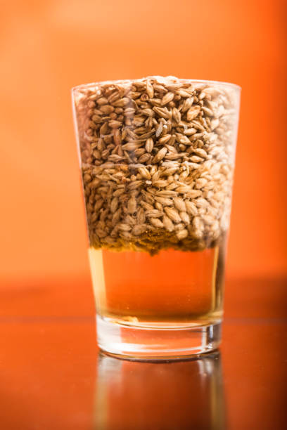 istock Pint glass full with beer and barley 873647434