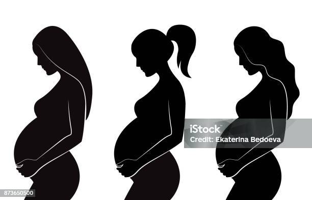 Ilustración de Silueta Negra De Mujeres Embarazadas Con Diferentes Tipos De Peinados Pelo Liso Pelo Rizado Cola De Caballo y más Vectores Libres de Derechos de Embarazada