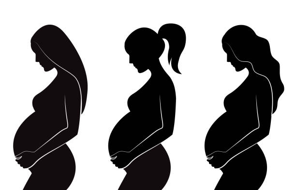 illustrations, cliparts, dessins animés et icônes de silhouette noire, des femmes enceintes présentant différentes coiffures : cheveux raides, cheveux bouclés, queue de cheval. - femme enceinte