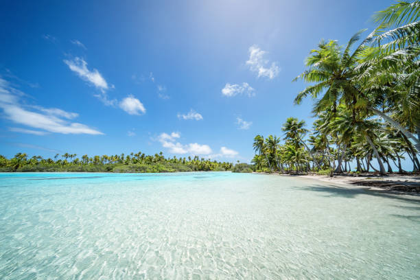 istock Atoll Fakarava French Polynesia Teahatea lslet Beach 873654194