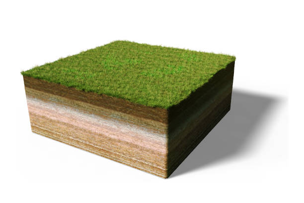 istock model of a cross section of ground with grass (3d illustration, isolated on white background) 873657526