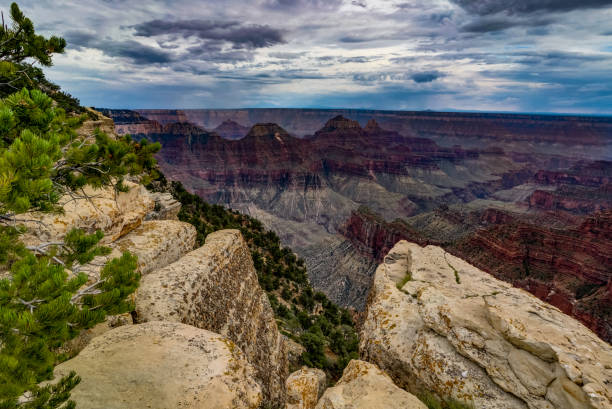 istock View across Grand Canyon North Rim Arizona 873663518
