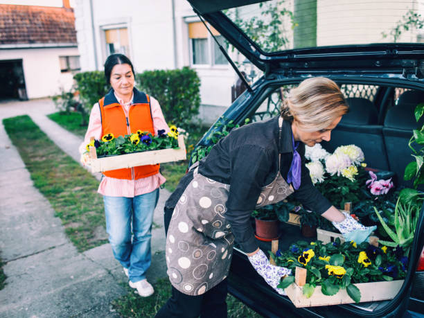 istock Getting ready for the planting season 873673940