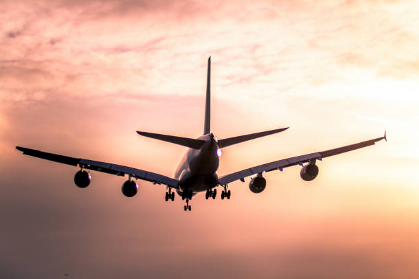 istock Airplane landing at sunset 873678114