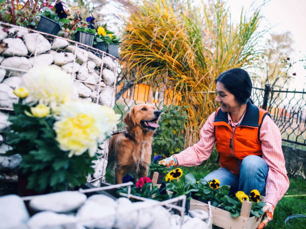 istock Woman and her Dog 873678210