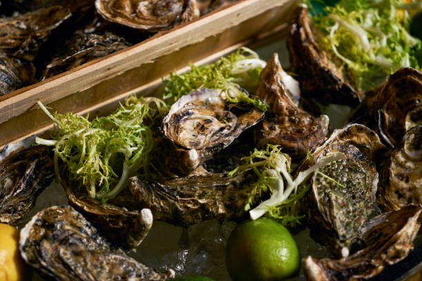 istock Fresh oyster with lemon lime and sea kale 873680898