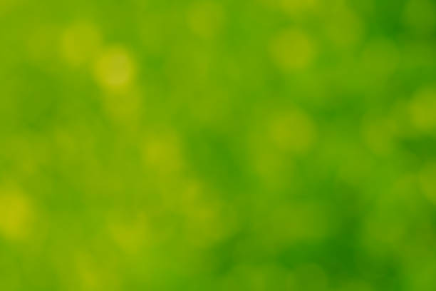 istock beautiful green bokeh as background 873683846