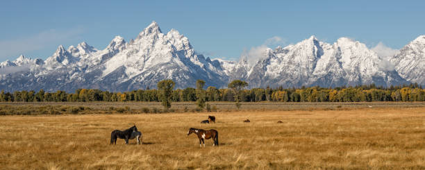 istock Teton Autumn Landscape 873687698