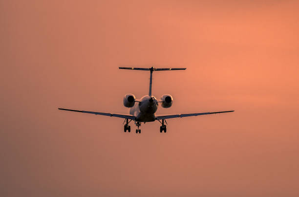 istock Airplane landing at sunset 873688246