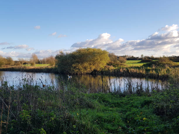 istock Chilly Autumn walk in Wiltshire - UK 873690840