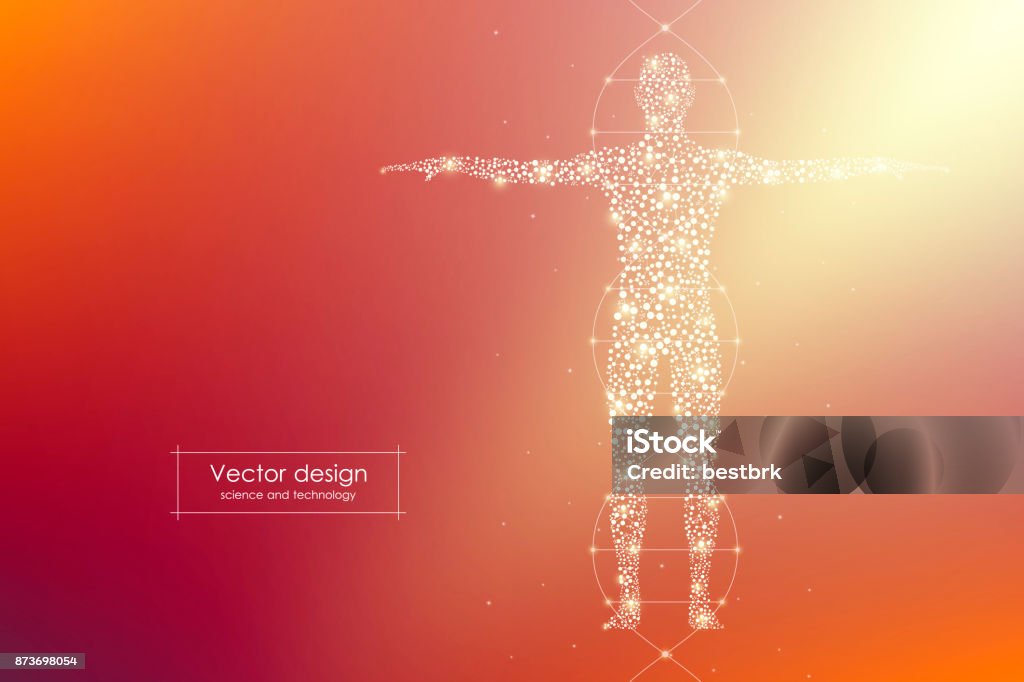 Abstract human body with molecules DNA. Medicine, science and technology concept. Vector illustration Abstract human body with molecules DNA. Medicine, science and technology concept. Vector illustration. The Human Body stock vector