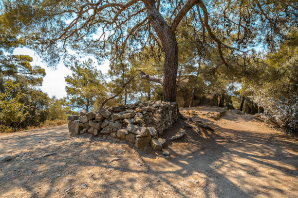 istock Canakkale Zeus horses 873702310