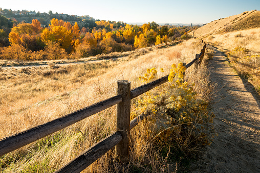 Wood rail fence leads along a path in the fall