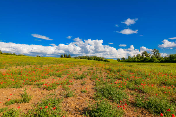istock colors of the Tuscan hills 873711320