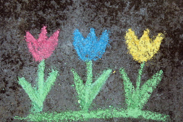 istock chalk drawing on asphalt: colorful tulips 873712908