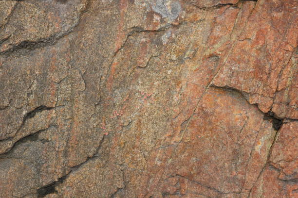 istock Texture of granite, abstract texture, stone, rocky background, natural pattern for designer, stone wallpaper, granite wall, multi-colored granite, minimalism, art 873713026