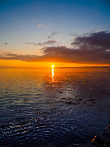 istock Sunset at the Ogden Point breakwater 873725694