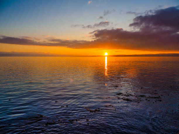istock Sunset at the Ogden Point breakwater 873725716