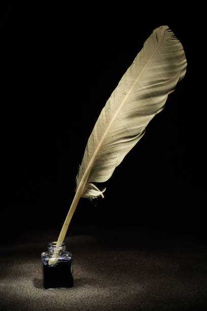 Light blue feathers, with shades of purple and pink floating in the air on a light background. Beautiful abstract background of soft and fluffy feathers