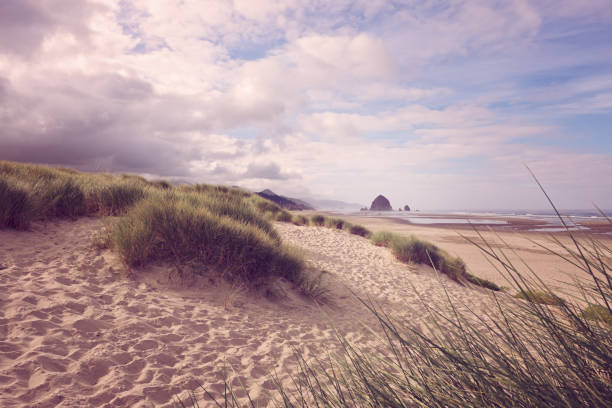 istock Dunes on Oregon Coast Cannon Beach 873726198