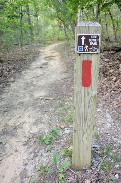 istock Fire tower trail sign by trail 873730950