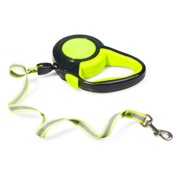 istock Green/Black retractable leash for dog isolated on white background 873736590