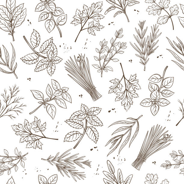 Seamless pattern herbs Seamless pattern with hand drawn sketch herbs and spices for farmers market menu design. Vector background culinary herbs in ink retro style. bay of water illustrations stock illustrations